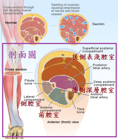 未命名.png