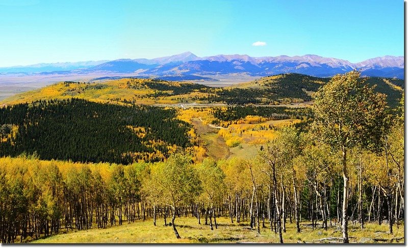 Fall colors, Kenosha Pass  (50)