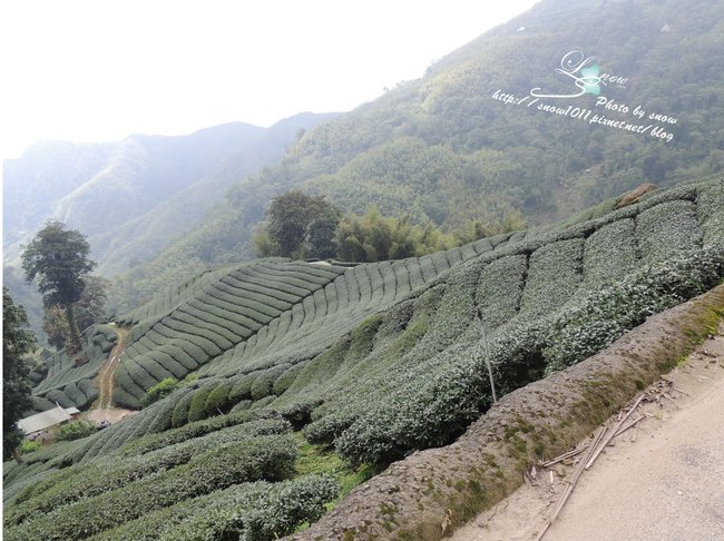 沿途風景