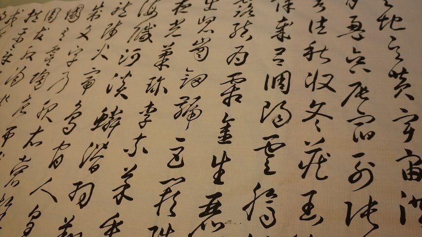 DSC08265.JPG