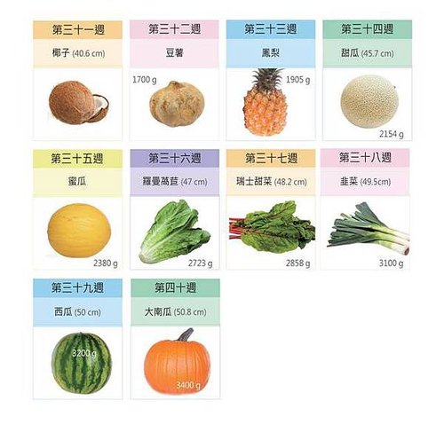 weight-by-fruit-3.jpg