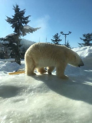 2018131-25北海道_191029_0105.jpg