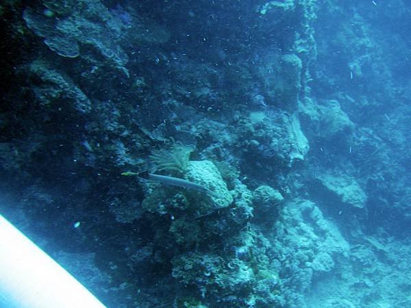 IMG_1701.JPG
