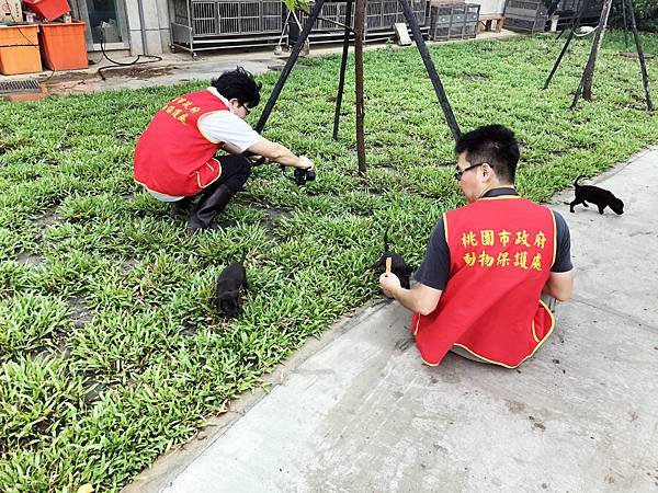 【新屋收容所】桃園市動物保護教育園區參觀