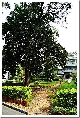 P1080231