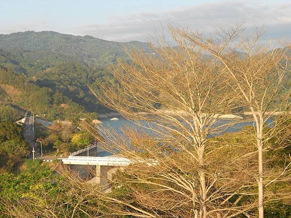 DSCN0603