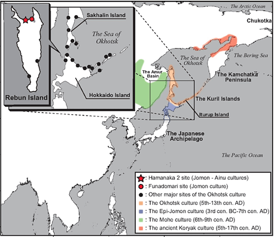 北海道禮文島的古代DNA，繩文人以後，跨越鄂霍次克海的情慾流