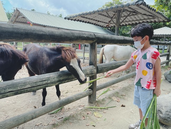 台南親子旅遊攻略｜三個必去的戶外和室內景點:頑皮世界野生動物