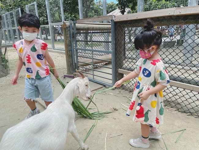 台南親子旅遊攻略｜三個必去的戶外和室內景點:頑皮世界野生動物