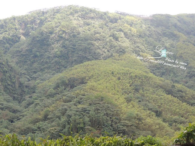 沿途風景