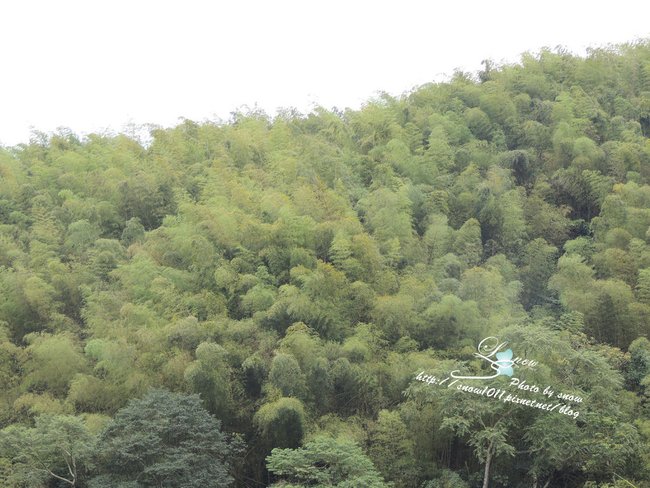 沿途風景