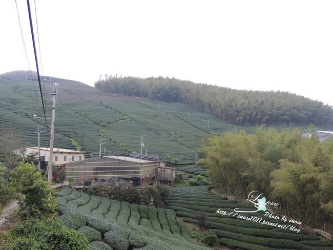 沿途風景