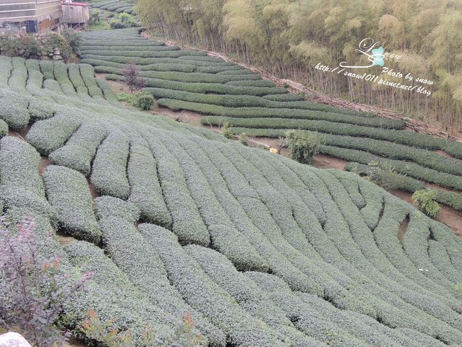 沿途風景