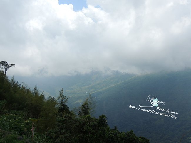 山上風景