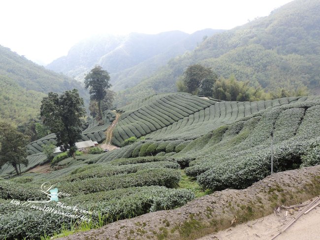沿途風景