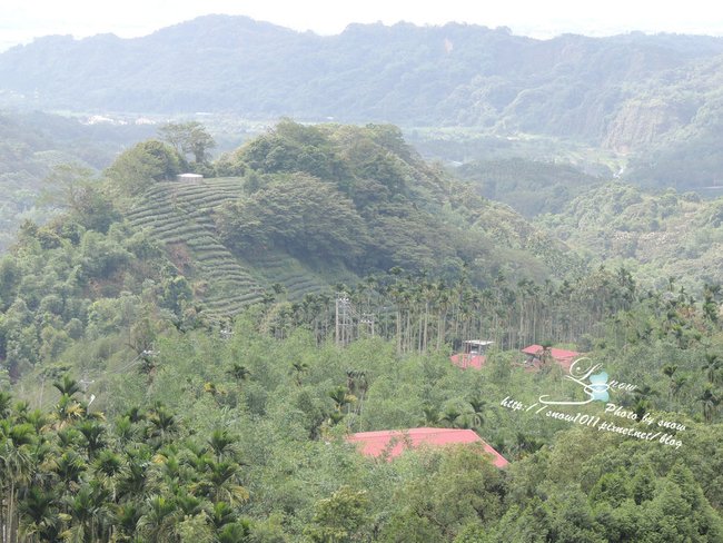 沿途風景