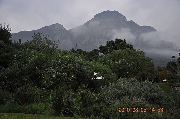南非植物園DSC_0264-1.JPG