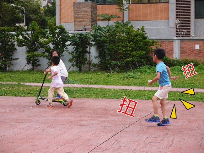 歐洲愛爾蘭Fliker搖擺滑板車
