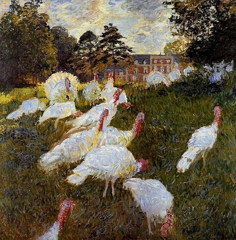 the-turkeys