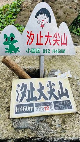 大IMG_0778.jpeg