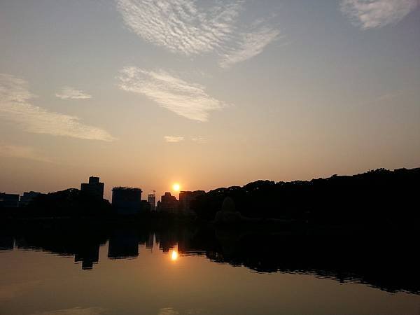 20140802_181154