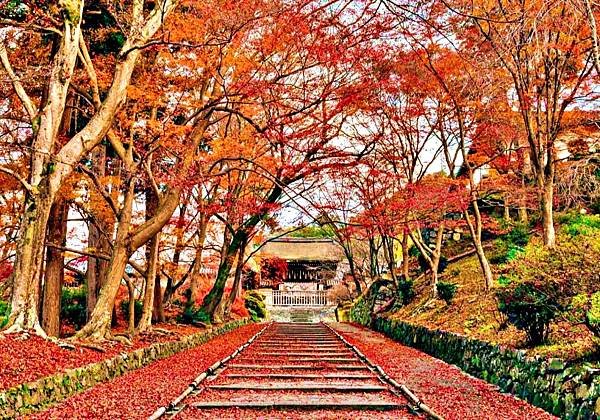 紅葉穴場 毘沙門堂門跡 鍬山神社  光明