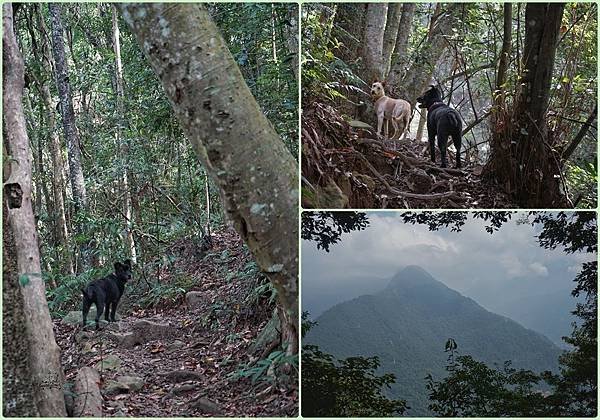 Hiking in Guguan｜Mountain Baim