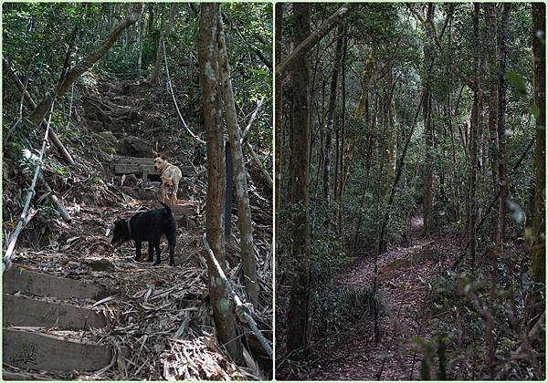 Hiking in Guguan｜Mountain Baim