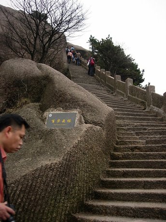 DSCN0617.JPG
