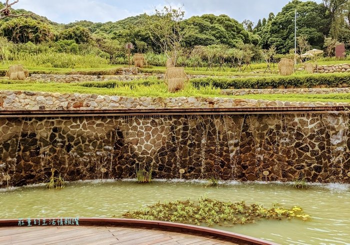 桃園特色公園「大有梯田生態公園」森林挑戰區超好玩!可戲水! 