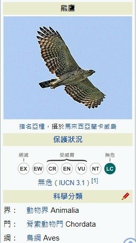 「熊鷹」是排灣族與魯凱族人部落傳說中祖先的化身，同時也是頭目