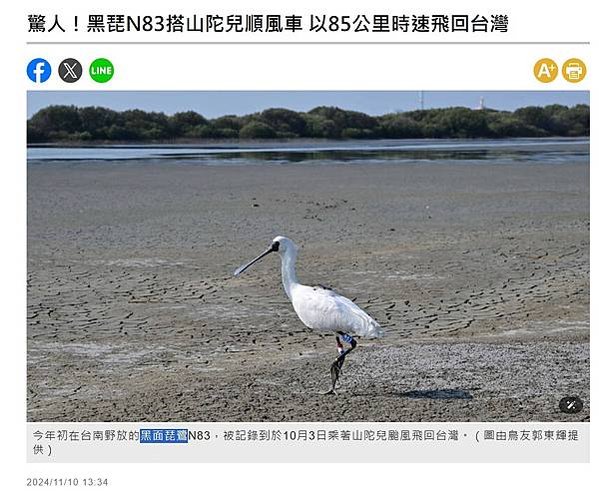 國際黑面琵鷺後援聯盟將茄萣溼地評定為國際級溼地、禁止在茄萣溼