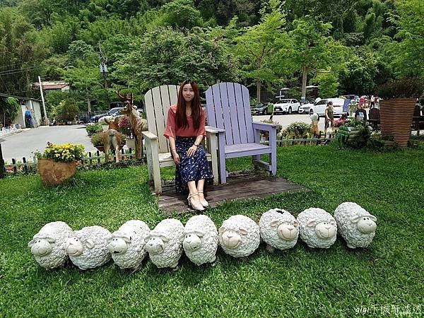 桃園免門票景點｜天御花園(咖啡、花草、套餐)｜逛花市~吃喝下午茶的好去處｜gigi手機玩透透-4.jpg