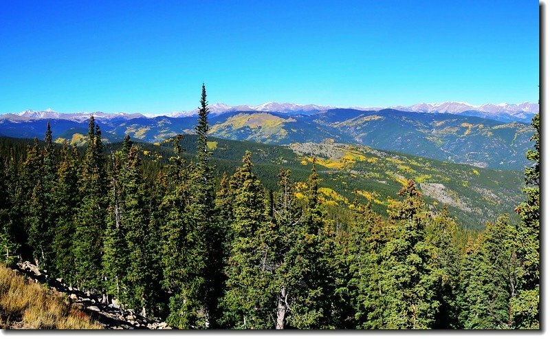 Fall colors in Squaw Pass, Colorado (7)