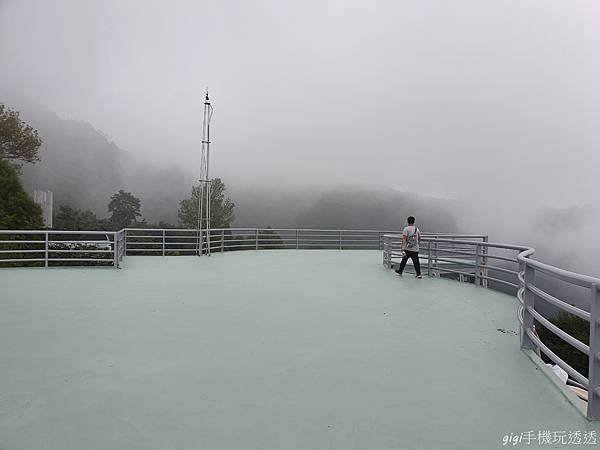 新竹美食｜數碼天空景觀園區｜位於高山上的世外桃源~賞櫻、雲海、觀霧，還有可愛店狗鬆獅犬｜gigi手機玩透透-16.jpg