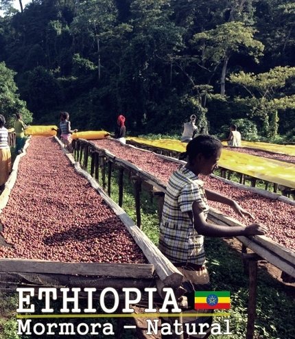 ethiopia-mormora-natural.jpg