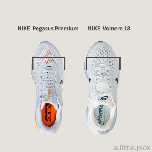 [分享] NIKE PEGASUS PREMIUM — 集Z