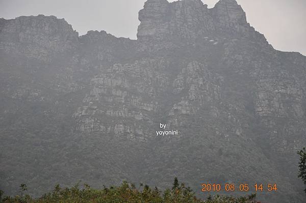 植物園背景就是山景DSC_0265-1.JPG