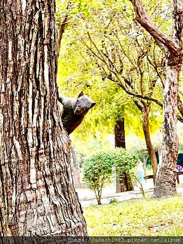 ＊【台南開箱】超酷的城市森林「巴克禮紀念公園」荒野公園，你我