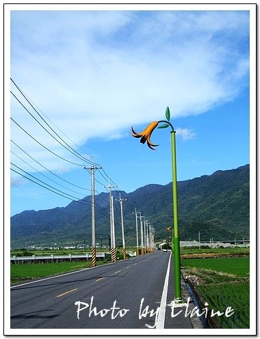 通往赤柯山的道路兩旁金針花狀的路燈