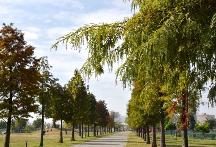 南興公園 田地記事 水湳經貿 十四期 十二單元 十三單元 北屯捷運機廠 機捷 捷運特區 單元八 十期 十一期 八期 五期 烏日前竹 大里三期 夏田 鎮南 九德 九如 高鐵門戶 單元一 單元二 單元三 單元四 單元五 單元八 十四單元 十三期 土地買賣 售地 台中土地 台中土地買賣 台中重劃區 台中單元 弘文 弘富重劃 土地價格 期 捷運 台中建設 土增稅 房地合一稅 兩稅合一 稅率 奢侈稅 地價稅.jpg