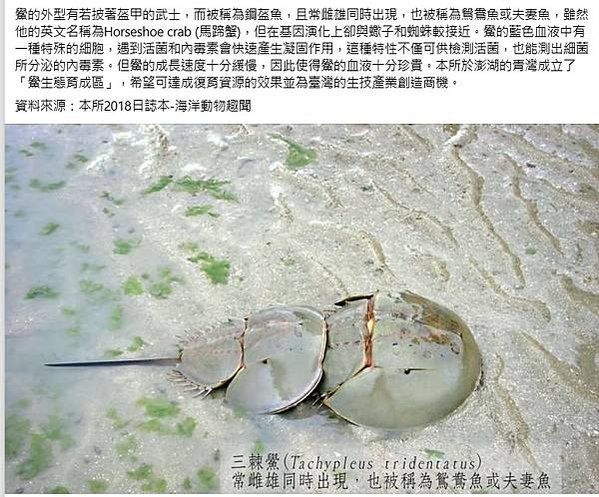 陳景蘭洋樓1921年完工-為金門規模最大之洋樓，2003年登