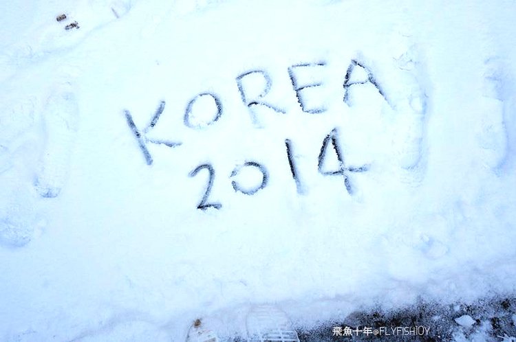 韓國首爾。下大雪的東廟、南山谷韓屋村(남산골한옥마을)、 土