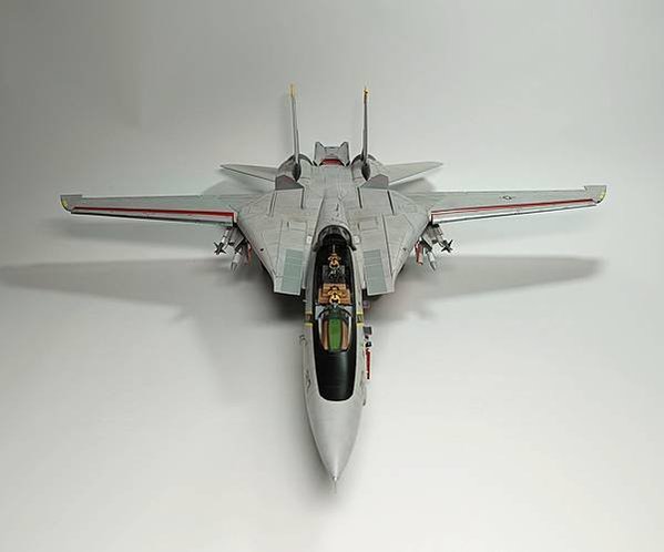 Hasegawa 1/48 F-14A  Tomcat 雄貓