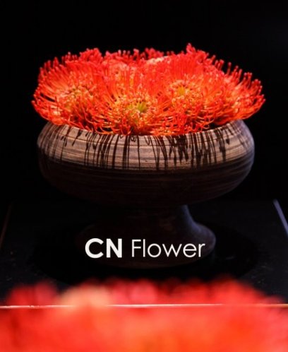 CNFlower克麗比努爾花藝設計