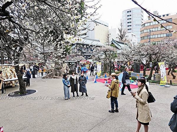 湯島天神 (25).jpg