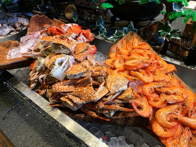 苗栗溫泉泡湯推薦飯店住宿泰安觀止多少錢晚餐百匯自助吃到飽介紹