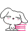 Rabbit Shy