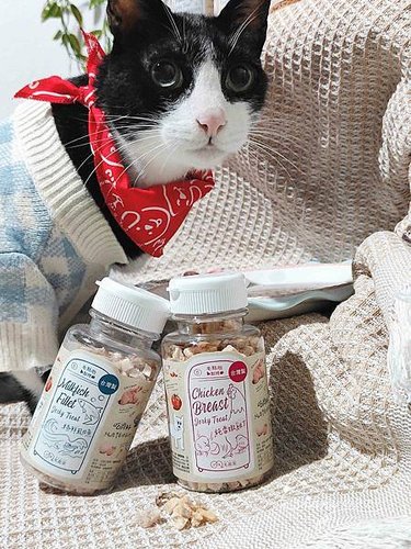 🐈〔寵物×食品〕毛起來–毛點心製所〃迷你方塊小凍乾｜健康美味