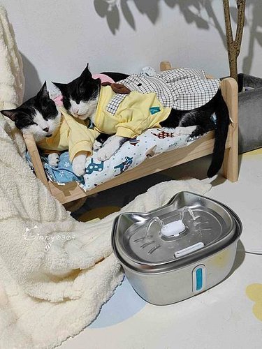 🐈〔寵物×用品〕HiMAO 極光循環過濾殺菌活水機｜就是那個